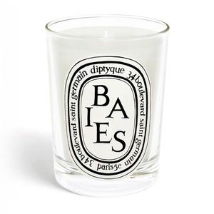 Diptyque Baies/Berry scented candle